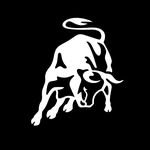 lamborghini 인스타그램 프로필 사진