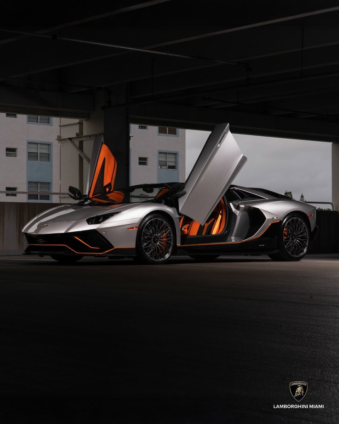 lamborghinimiami 게시물 이미지: A Rare Breed Flaunting its Wings. 

The...