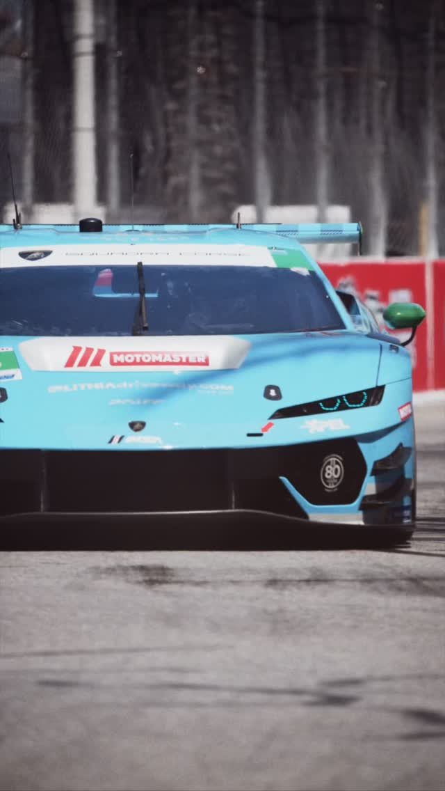 lamborghinisc 게시물 이미지: How many palm trees? 🌴