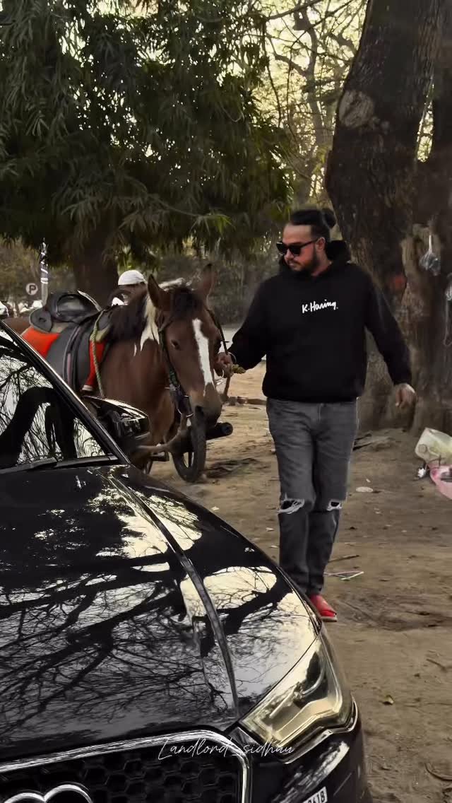 landlord_sidhuu 게시물 이미지: 2 ghode audi +horse +Sidhu ❤️.
#trending...