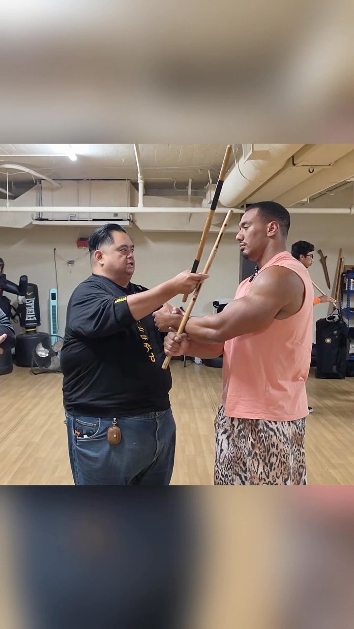 larrywheels 게시물 이미지: Learning Martial Arts