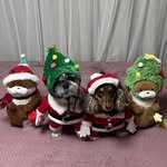 taeng_bani._.insta 프로필 사진