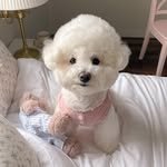 dengsoob 프로필 사진
