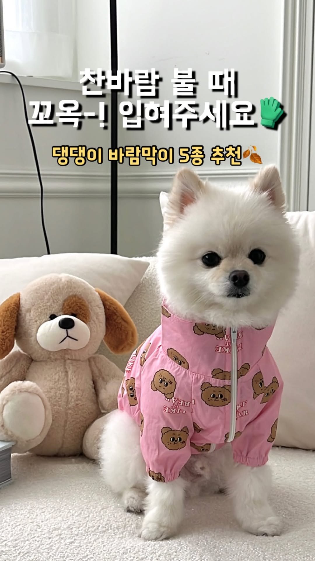 latte_is_love_ 게시물 이미지: 댓글에 “바람막이” 남겨주시면 상품 링크 보내드릴게요💨

찬바람이 아침저녁으로 살살...