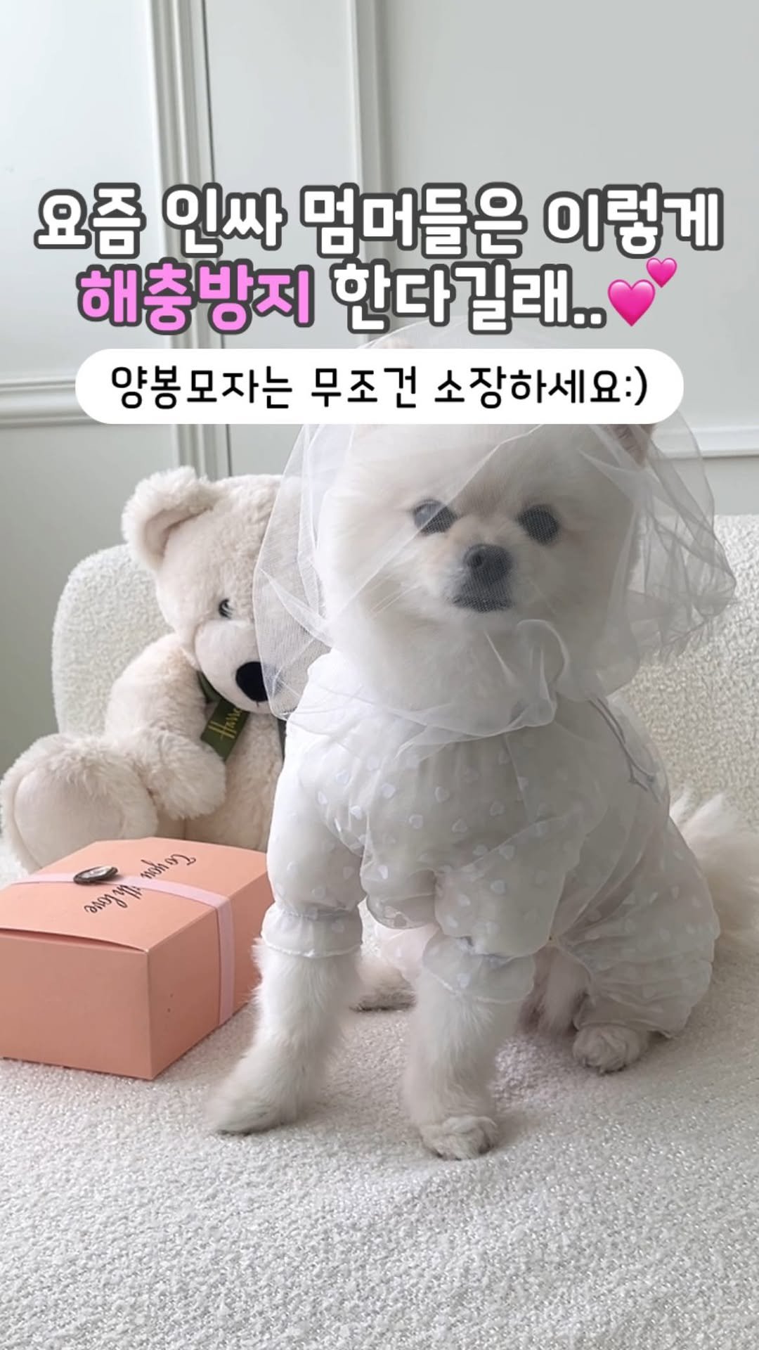 latte_is_love_ 게시물 이미지: 댓글에 “시스루” 달아주시면 상품 링크 보내드려요😆💕

올해 정말 많이 찾아주시는...