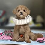 gunbam._.life 프로필 사진