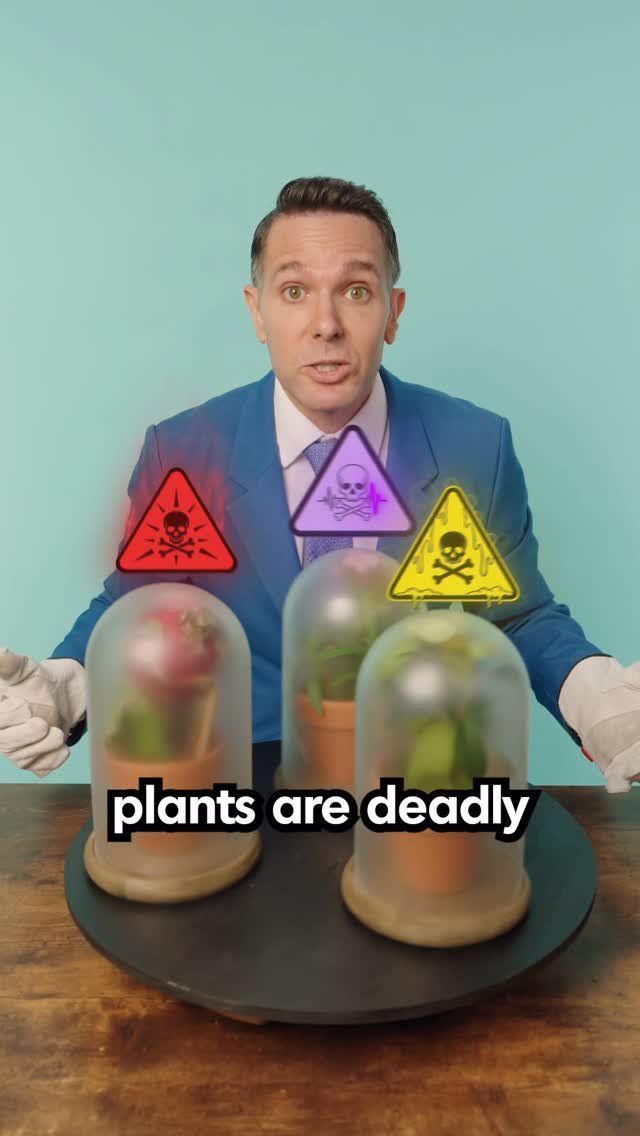 lawbymike 게시물 이미지: This Plant Is Deadly!

#plants #education