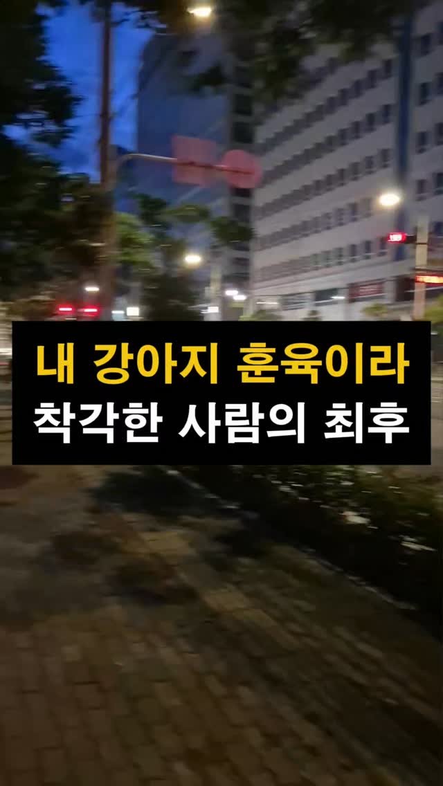 lawyer_jinbae 게시물 이미지: ⚠️동물학대, 신고 들어가면 진짜 형사처벌됩니다.

많은 분들이 동물학대 혐의로...