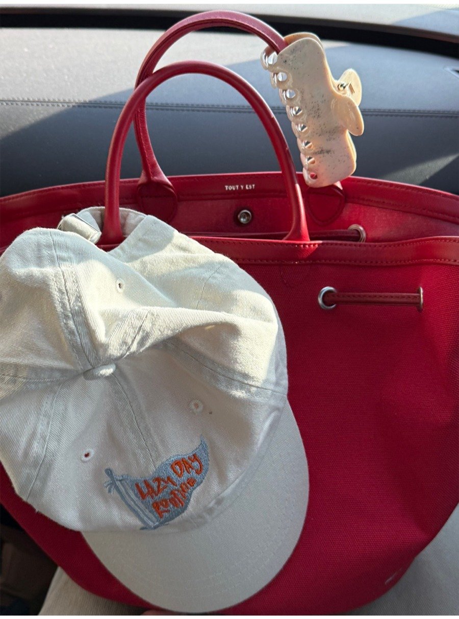 Photo by Lazy Day Routine on July 27, 2025. May be an image of elephant, hat, purse, grocery bag and text.