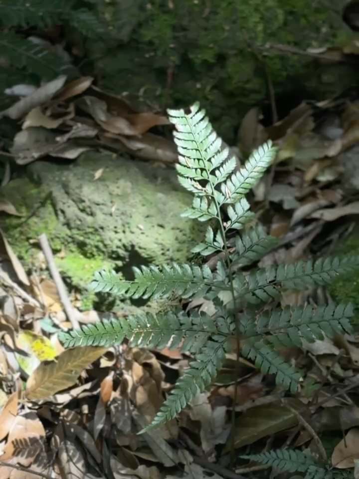 lazymama_liz 게시물 이미지: 시를 쓰려 하기보다 
시처럼 살으라고 
어느 시인이 말했다. 

시처럼 산다는 건...