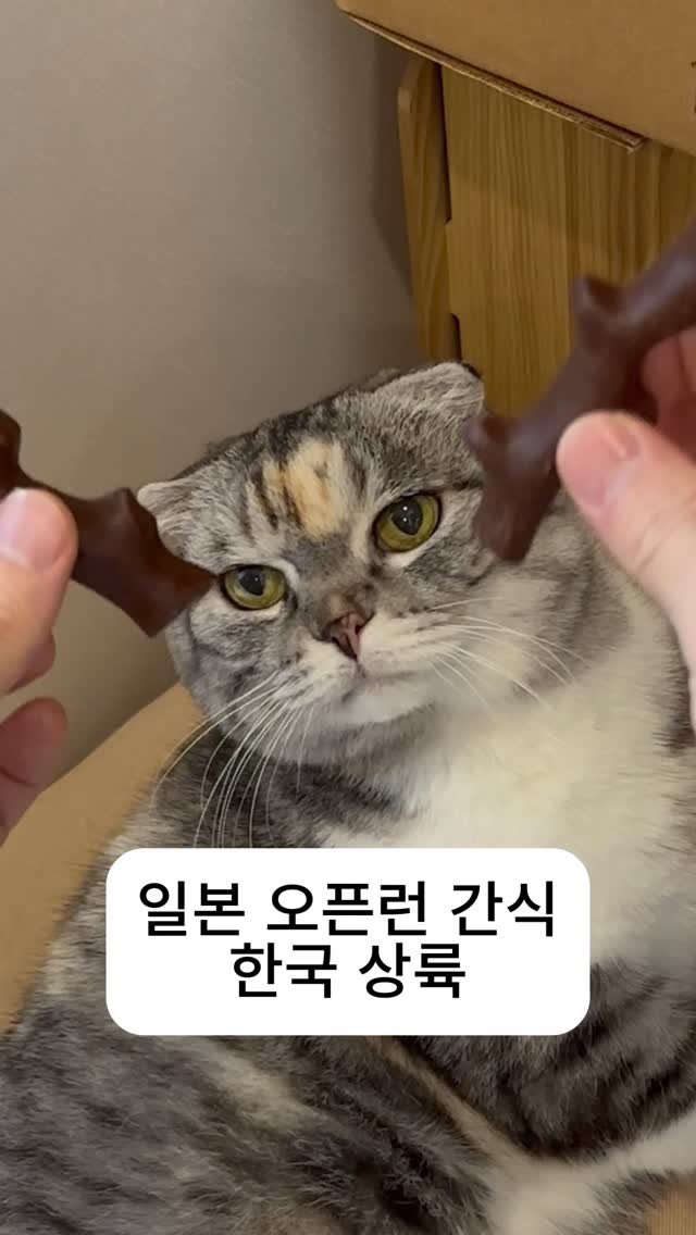 leaderofchocolate 게시물 이미지: 일본 오픈런 과자 한국 상륙 선물 뭐 사지? 이거 사세요

일본에서 오픈런 하는...