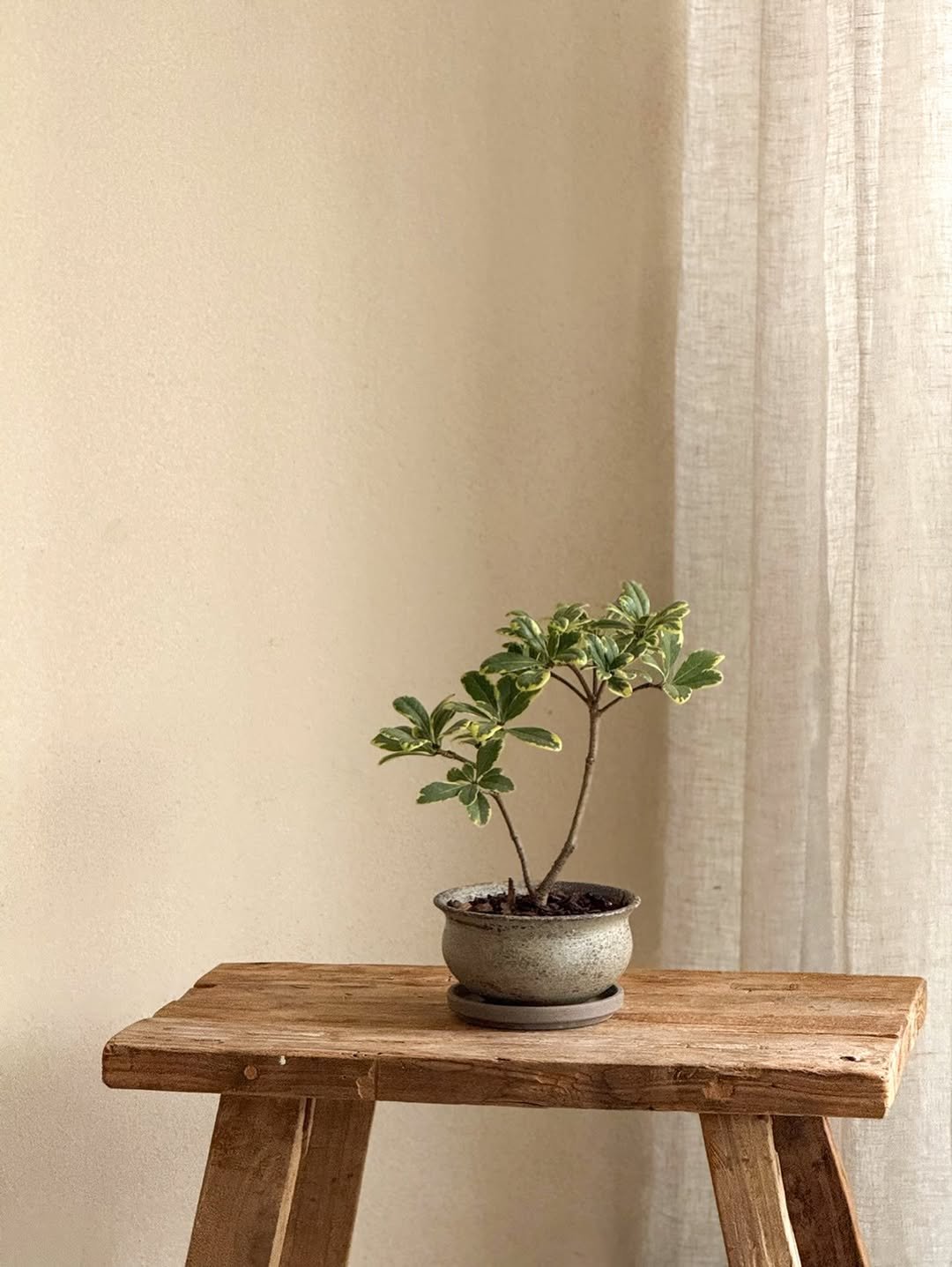 Photo by 리플렉티브 in Seoul, Korea. May be an image of text.