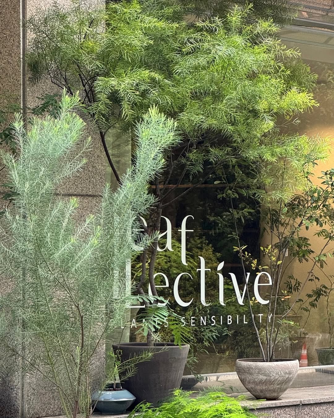 Photo by 리플렉티브 in Seoul, Korea. May be an image of ivy, mistletoe cactus, devilwood, herb and text that says 'ส2น saf ective SENSIBIL SENSIBILTY TY'.