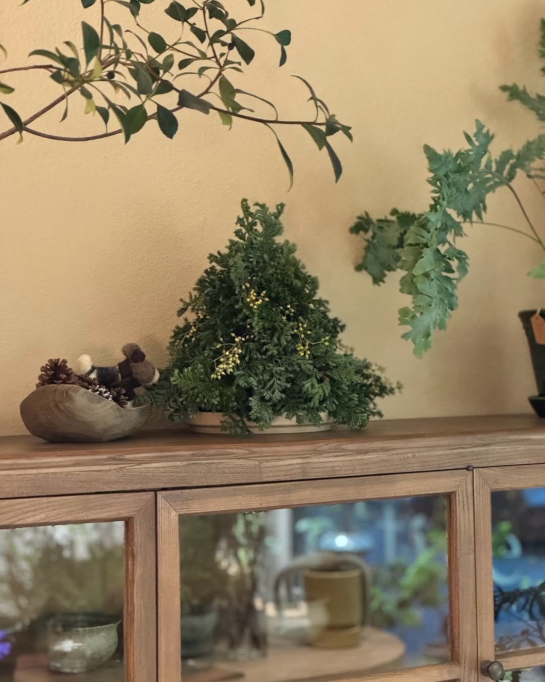 Photo by 리플렉티브 in Seoul, Korea. May be an image of devilwood, mistletoe cactus, ivy and text.