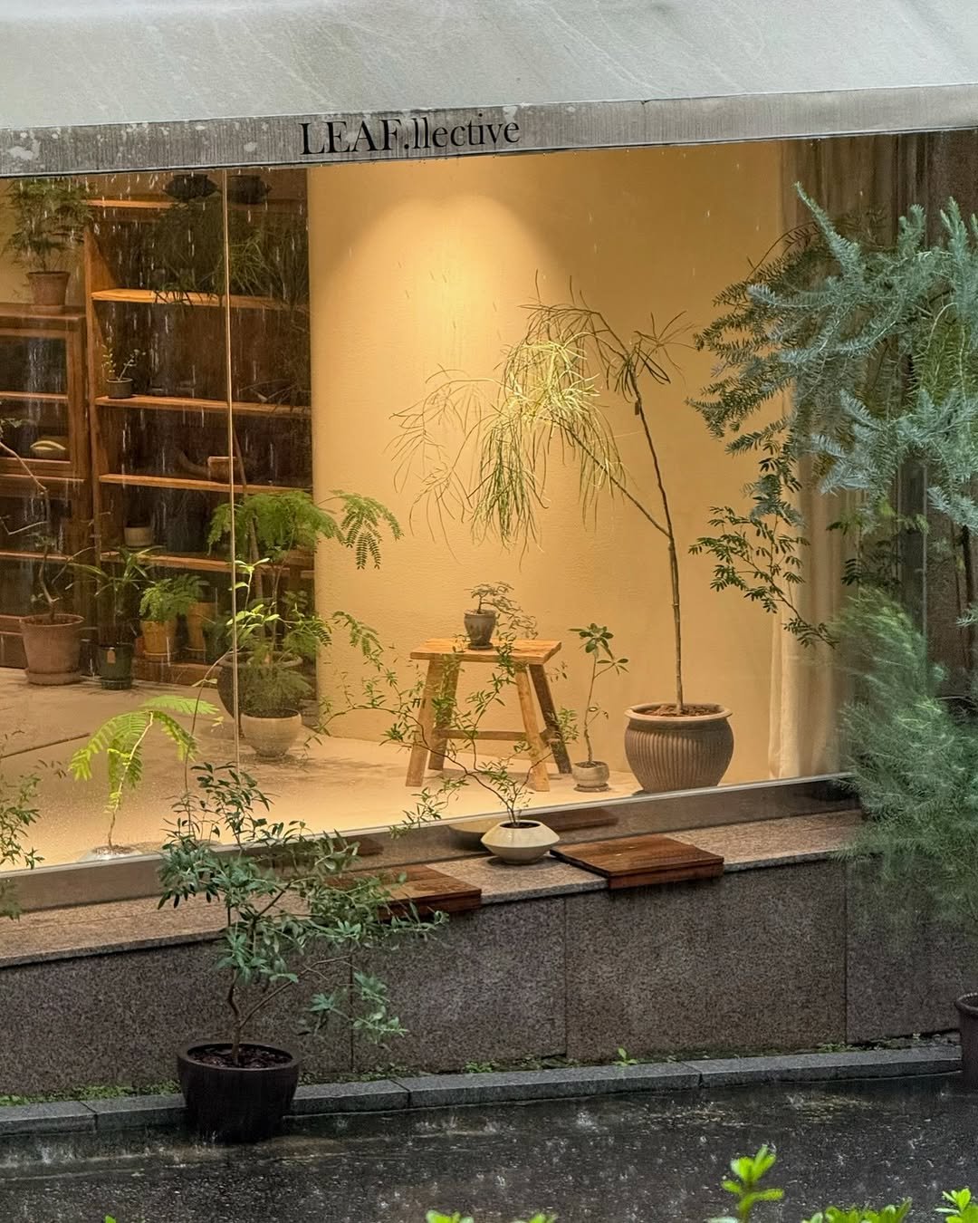Photo by 리플렉티브 in Seoul, Korea. May be an image of display case, umbrella and text.