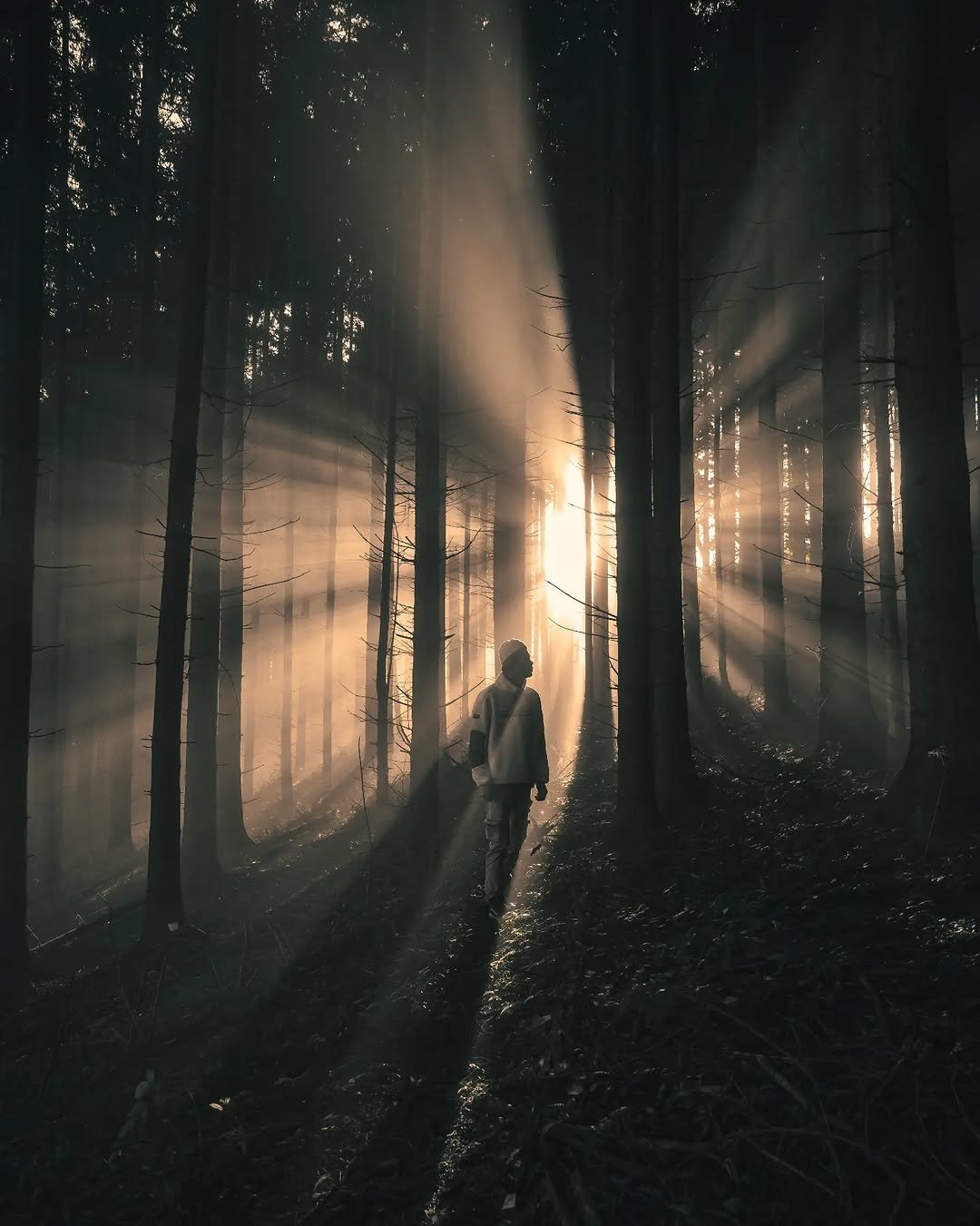 learn_editing__ 게시물 이미지: The Tones....

Guys join this FFA 

#earthffa...