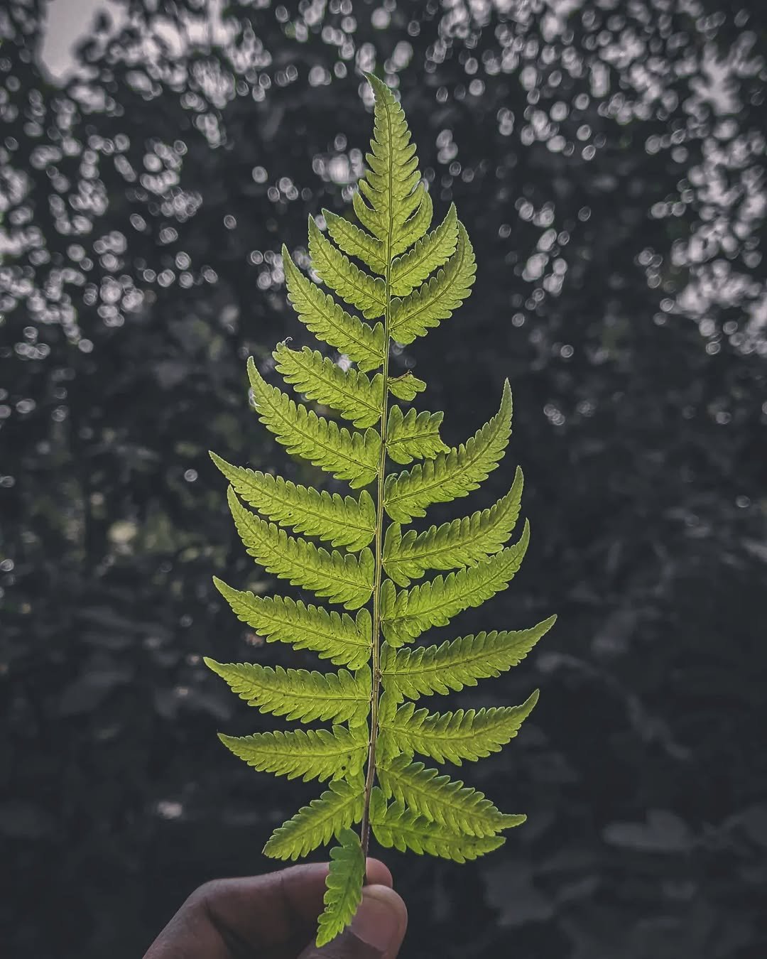 learn_editing__ 게시물 이미지: Colors. 

#colors #newyear...