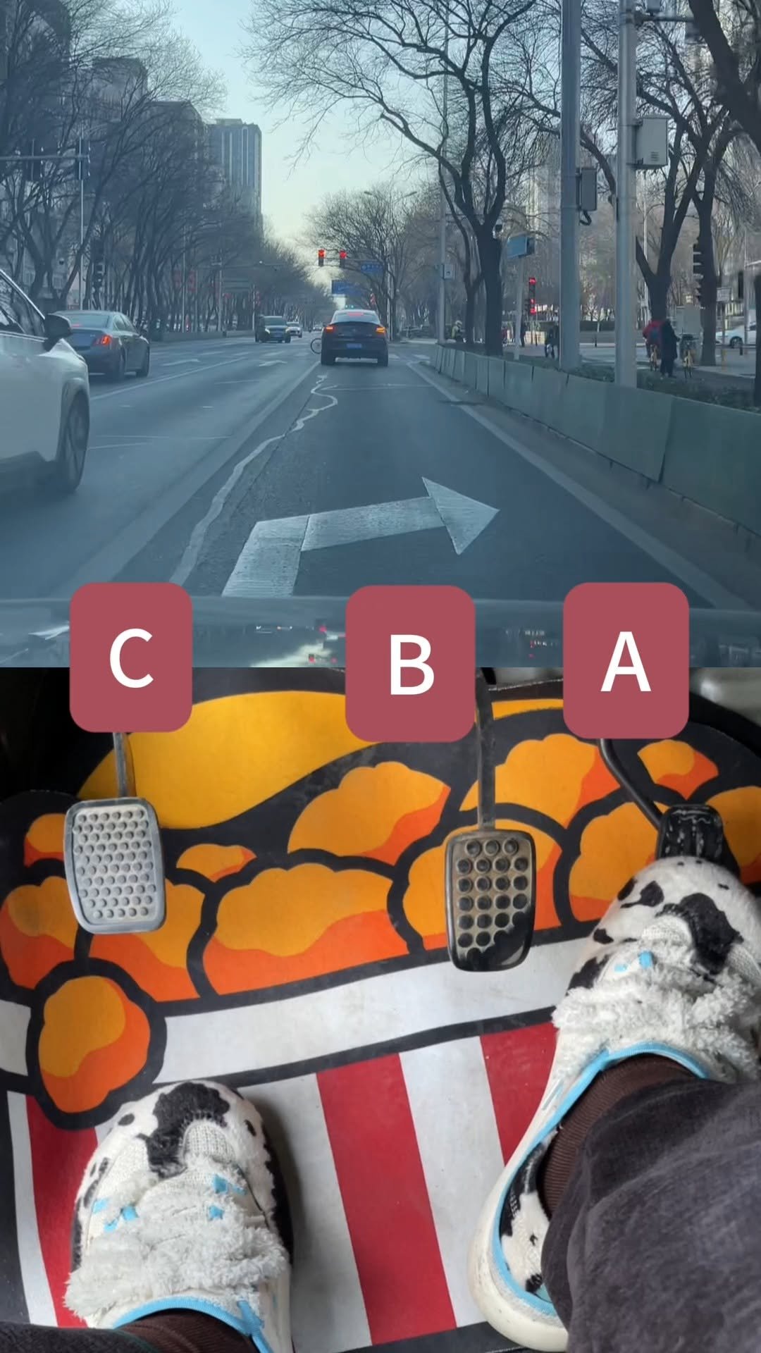 learncar01 게시물 이미지: You'll Outlast 89 Percent of the Population...