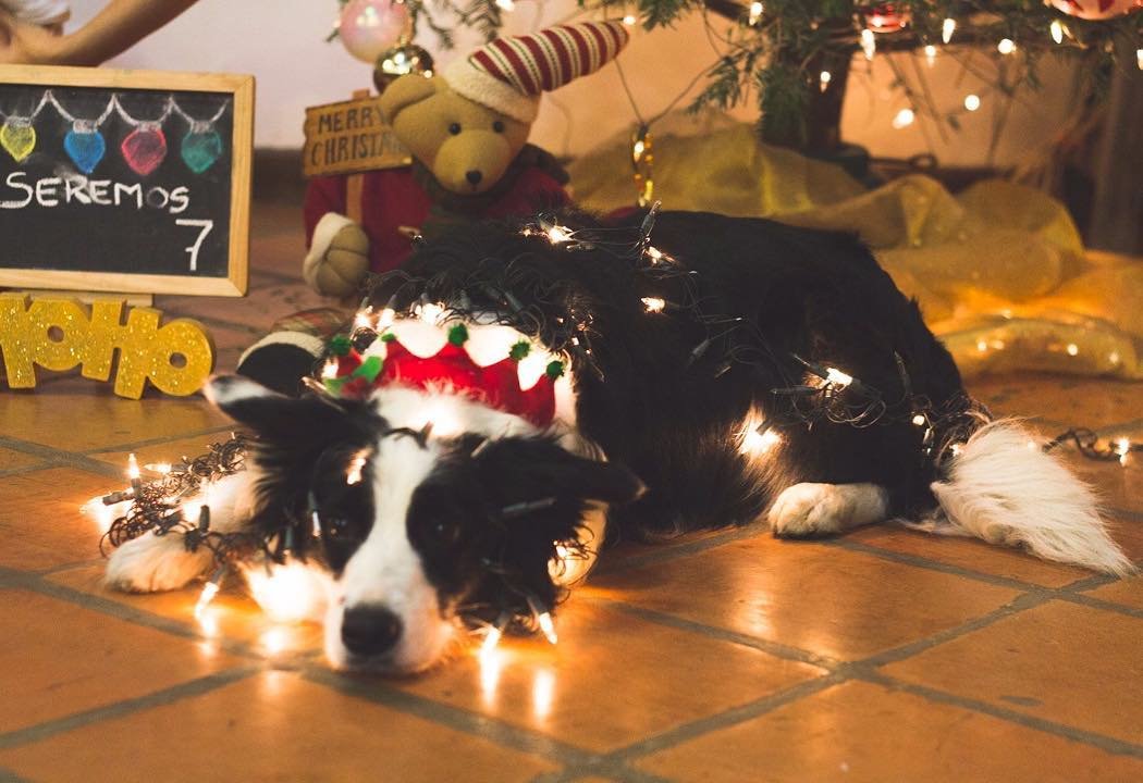 lebr 게시물 이미지: Existen cosas que Santa Claus puede regalar,...