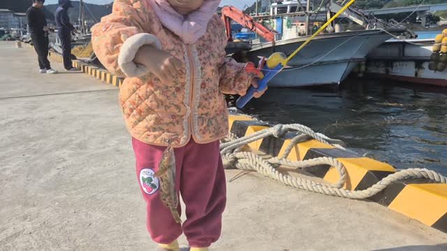 lee_477234 게시물 이미지: #배도라치귀신 #놀래미 놀래미를 잡았다고?
아빠 또 돌에 걸려서 안올라와 
엑?...