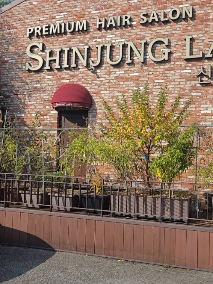 lee_477234 게시물 이미지: ✨태어나서 처음 해본 숏단발 빈티지펌✨

평생 긴머리만 고집했는데 용기내서...