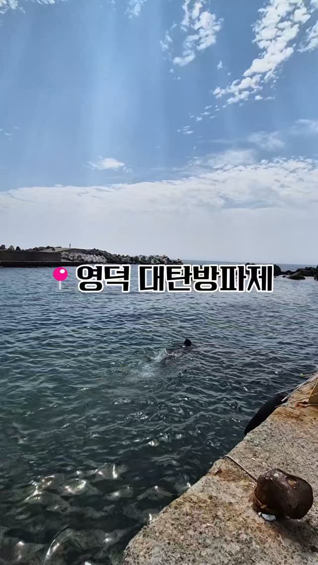 lee_477234 게시물 이미지: 숨은 물놀이 스팟 찾는 분들 주목🙋‍♀️

경북 영덕 '대탄방파제'
여기 진짜 다...