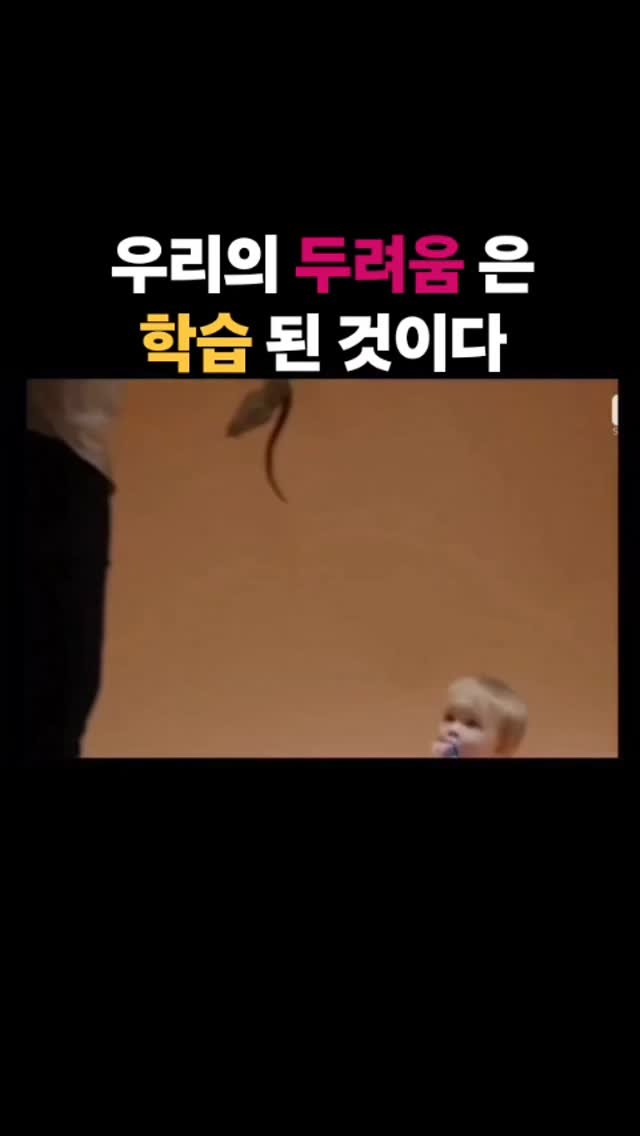 lee_hoyoung_motivation 게시물 이미지: #세일즈인문학 ✨️✨️✨️

두려움은 실제가 아닌 학습된 것 🧠

당신이 지금...