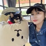 joy_hi81 프로필 사진