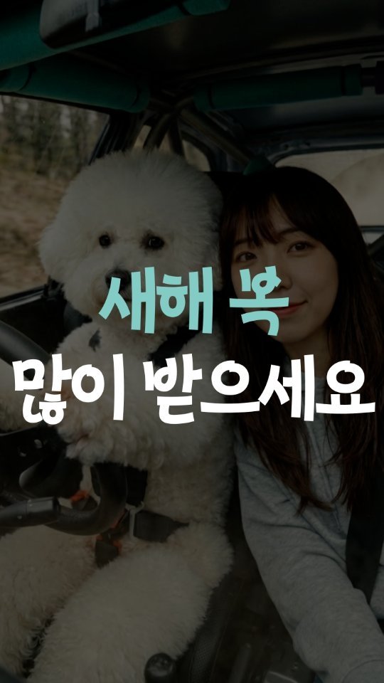 leedain_leader_in 게시물 이미지: 🐶비숑 택시 탑승하실 분

설 연휴
귀성길 상황…
다들 공감하시죠? 😇

그래서...