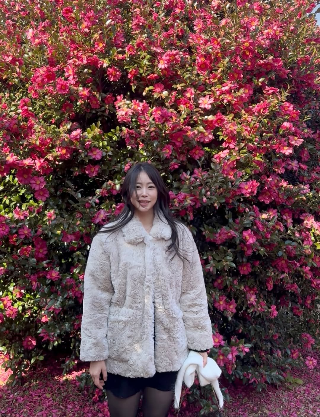 leedoyeonn 게시물 이미지: 🌺

#제주실시간