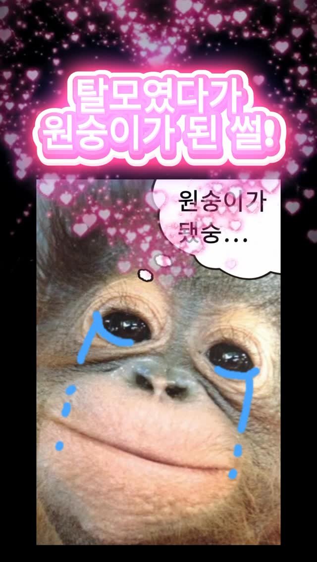 leehiiyeon__ 게시물 이미지: 제발 이 팁들이 온세상 머리가 휑한 분들에게 퍼지길 바랍니다ㅠㅠㅠ
저도 처음엔...