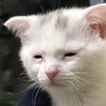 mean_ingless 프로필 사진