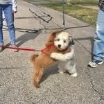 leejaehyunow 인스타그램 프로필 사진