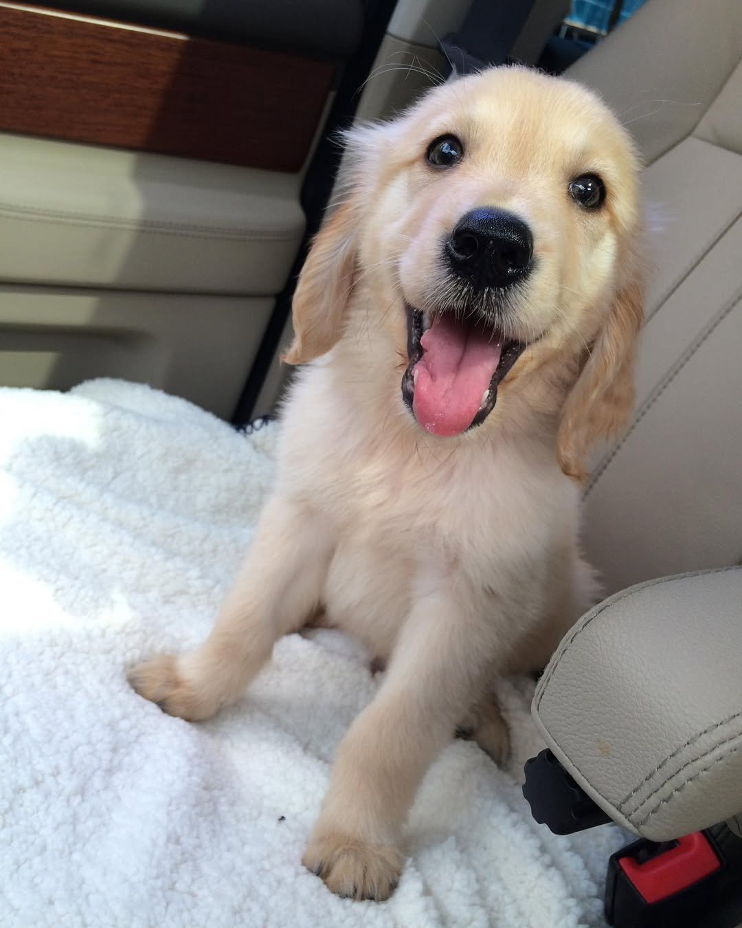 Photo by 이정신 on September 06, 2023.