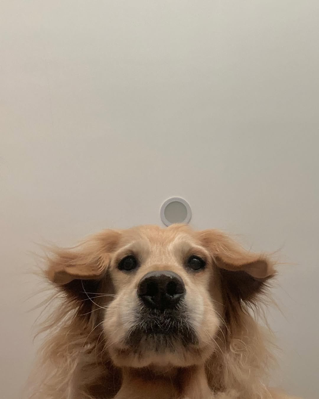 Photo by 이정신 on February 07, 2023.