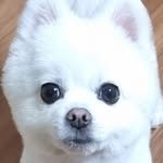 umtaegoo_official 프로필 사진