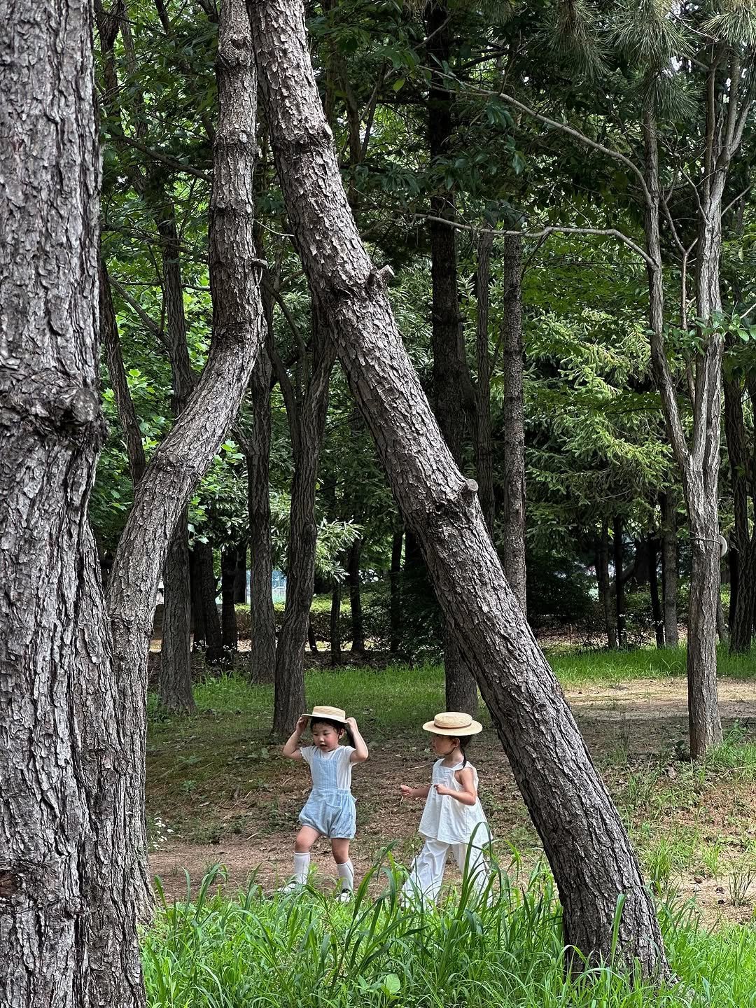 Photo shared by 이서꽃이 피어나는 기록✨ on August 02, 2025 tagging @yemini. May be an image of 2 people, outdoors and text.