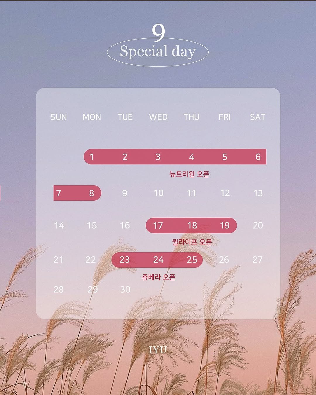 Photo shared by 이유데이 on August 28, 2025 tagging @yoobohwa. May be an illustration of calendar, poster and text that says '9 Special day SUNMON MON SUN TUE WED THU FRI SAT 1 2 3 4 5 7 6 8 뉴트리원 오픈 9 10 11 14 12 15 13 16 17 18 19 21 20 22 퀄라이프 23 24 25 28 26 29 쥬베라 쥬베라오픈 오픈 27 30'.
