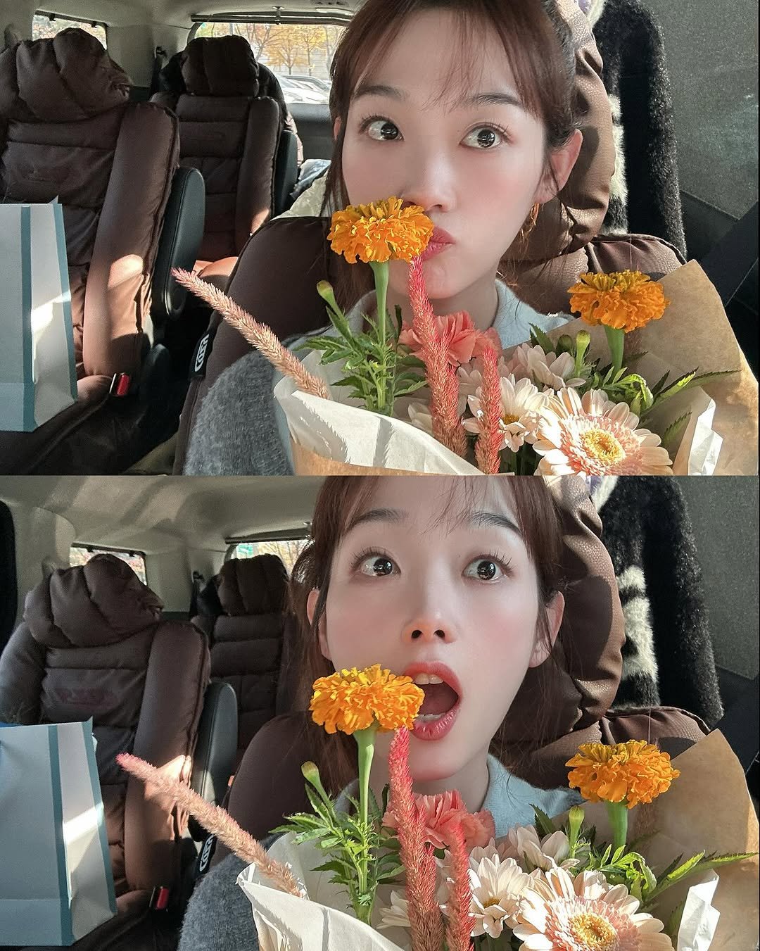 Photo by 이유미 on November 12, 2025. May be an image of baby's-breath and text.