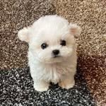 hot.news7 프로필 사진