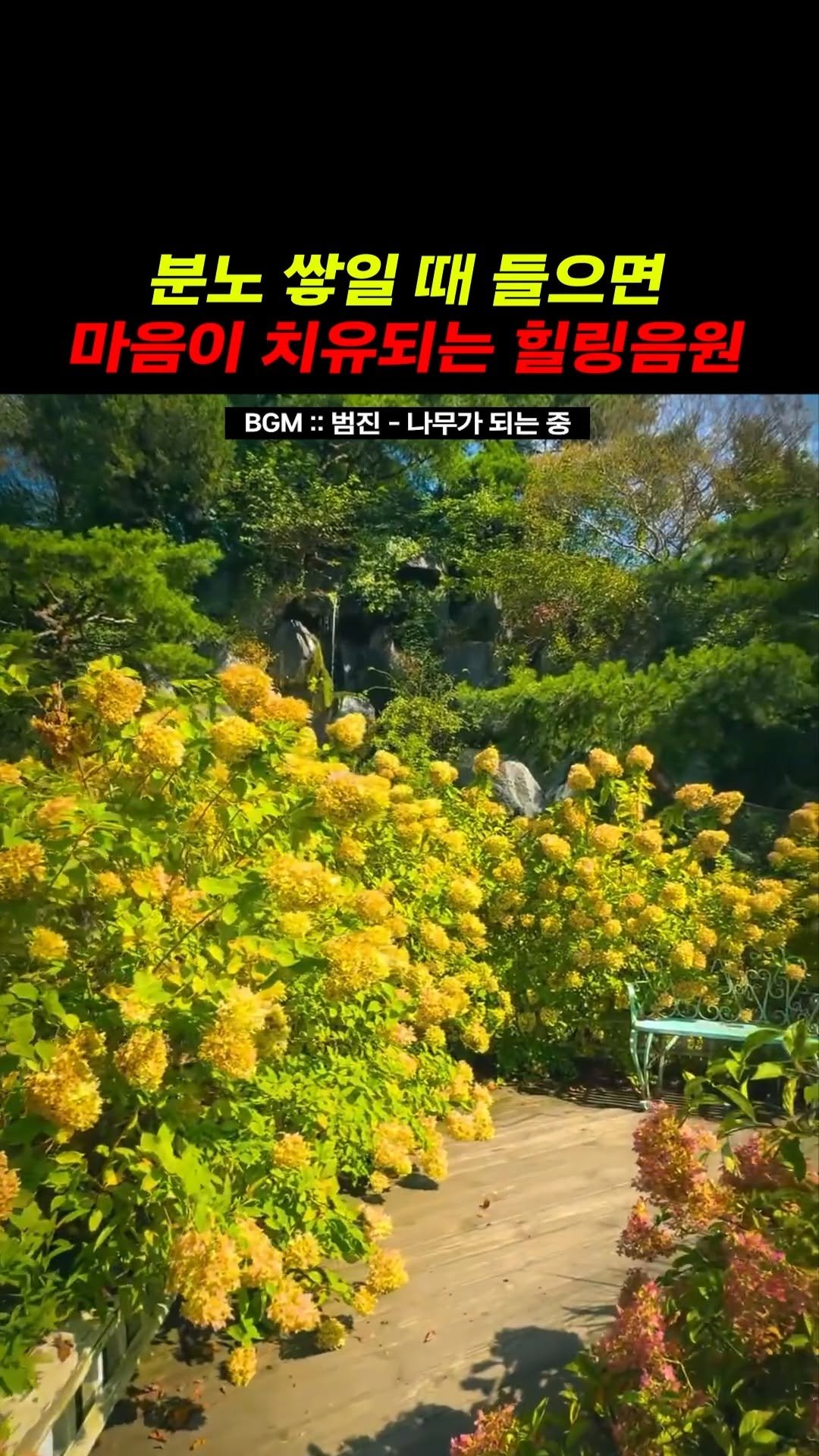 legend_s0ng 게시물 이미지: 날씨가 풀리면 산책하면서 들어야지...
🎶 BGM :: 범진 - 나무가 되는...