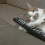 god.of_voice 프로필 사진