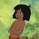 dororingu 프로필 사진