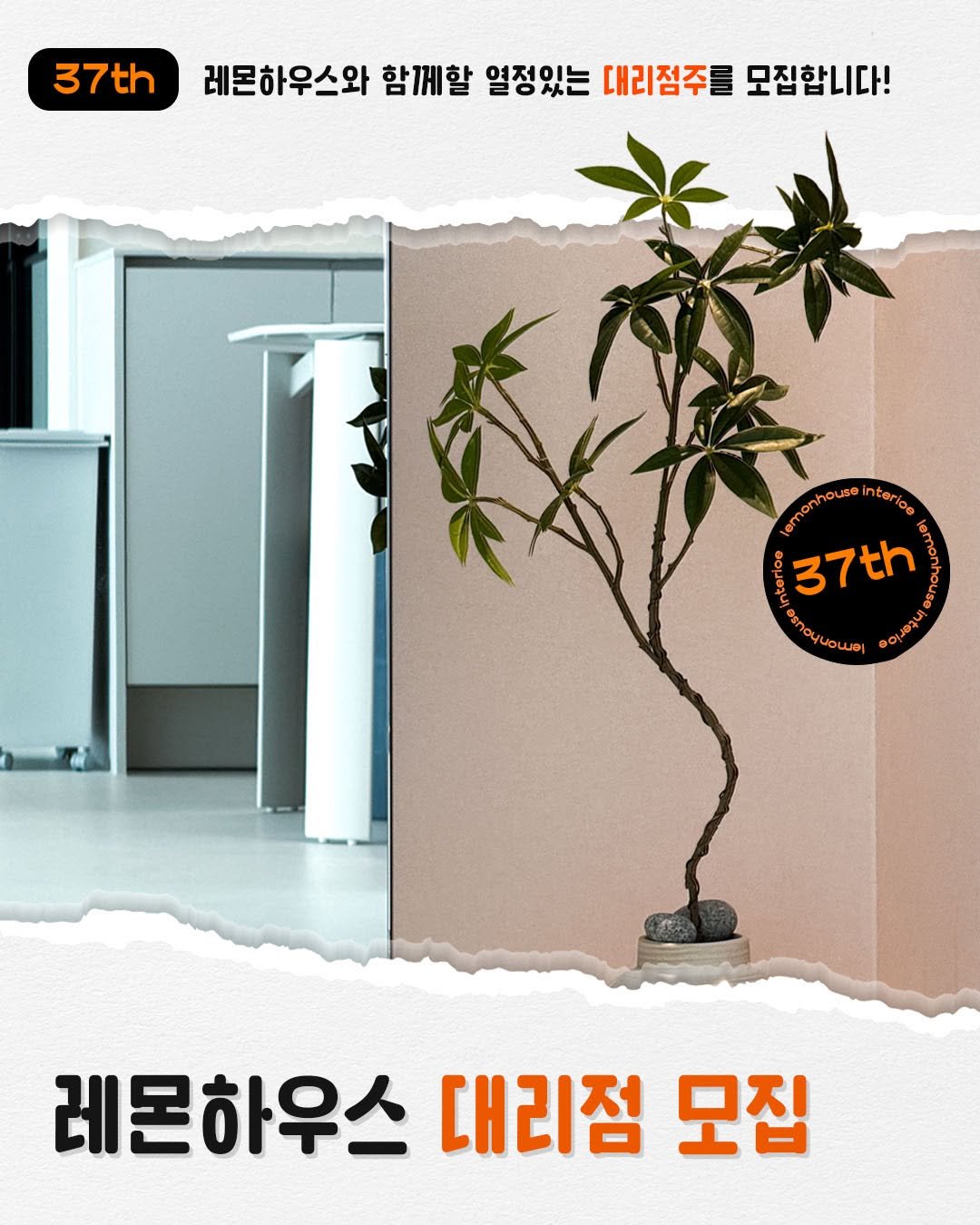 Photo by 레몬하우스 인테리어 on December 23, 2025. May be an image of poster, house plant, plant and text.