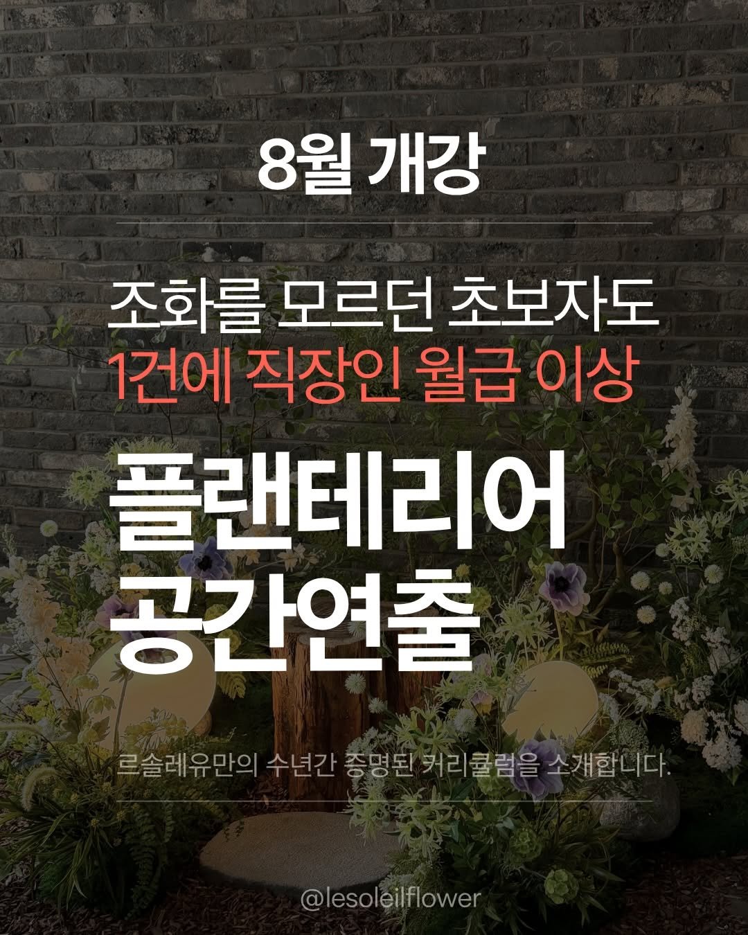 lesoleilflower 게시물 이미지: “아무것도 모르는데 진짜 3주만에 돼요?”
정말 정말 많이 듣는 질문이예요!...