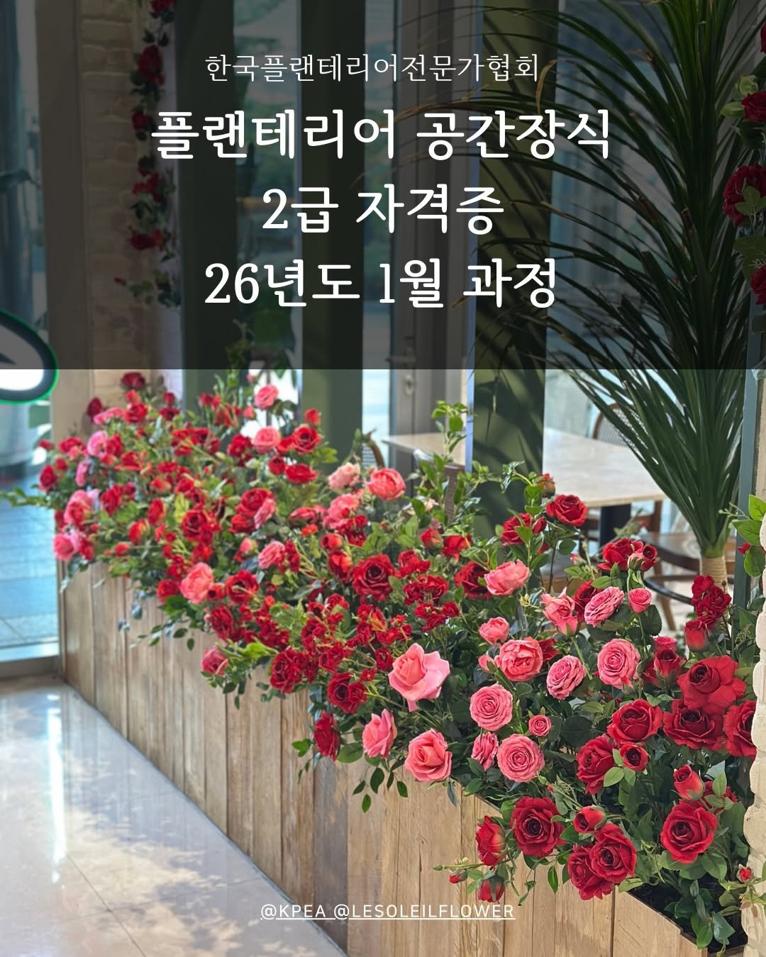 Photo by 르솔레유 | 조화 | 실크플라워 | 플랜테리어 창업컨설팅 on December 21, 2025. May be an image of flower arrangement, baby's-breath, peony, rose and text that says '한국플랜테리어전문가협회 전문가협회 플랜테리어 공간장식 2급 자격증 26년도 1월 과정 @KPEA_@LESOLEILFLOWER'.