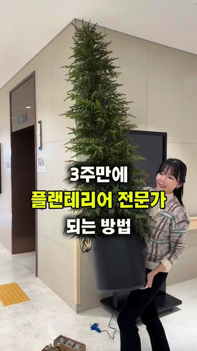 lesoleilflower 게시물 이미지: 3주만에 플랜테리어 전문가가 되는 방법 

그건 바로 체계화된 플랜테리어...