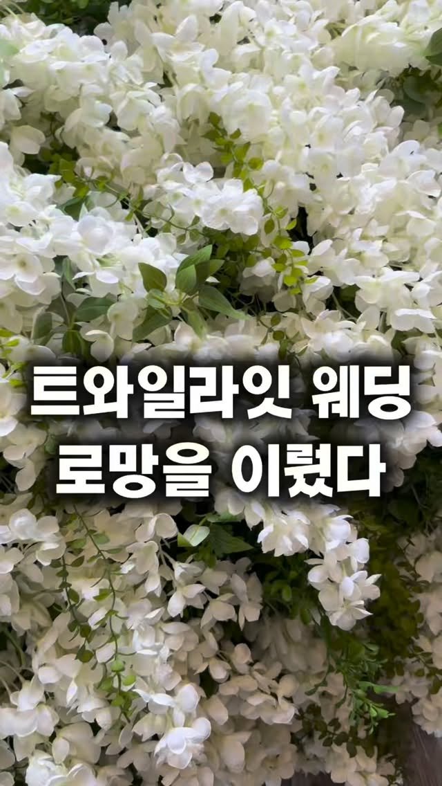 lesoleilflower 게시물 이미지: 트와일라잇 웨딩 로망을 이뤘다🔥

제 결혼식은 아니구요..ㅎㅎ
백화점 팝업에...