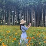 the_blossom_flowershop 프로필 사진