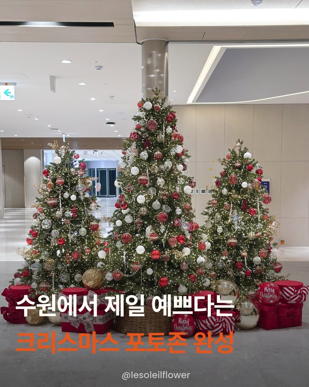 Photo by 르솔레유 | 조화 | 실크플라워 | 플랜테리어 창업컨설팅 on December 01, 2025. May be an image of christmas tree and text that says '수원에서 제일 예쁘다는 크리스마스 포토존 완성 @lesoleilflower'.